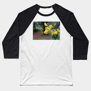 Mahonia Aquifolium Baseball T-Shirt